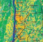Land Use / Land Cover